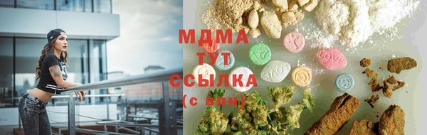 гидра Снежногорск