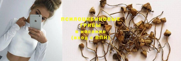 гидра Снежногорск