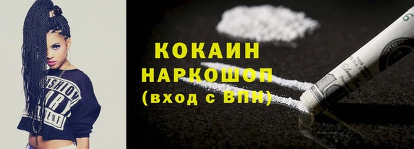гидра Снежногорск