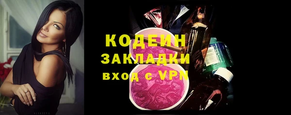 гидра Снежногорск