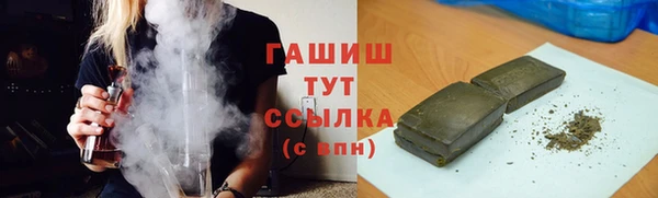 гидра Снежногорск