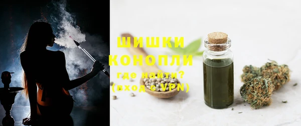 гидра Снежногорск