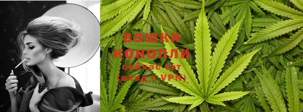 гидра Снежногорск