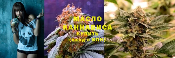 гидра Снежногорск
