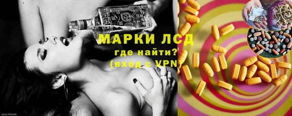 гидра Снежногорск