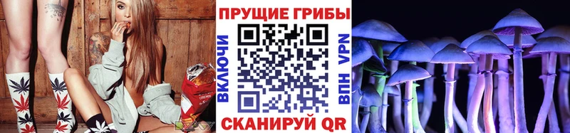 Галлюциногенные грибы Cubensis  площадка состав  Якутск 