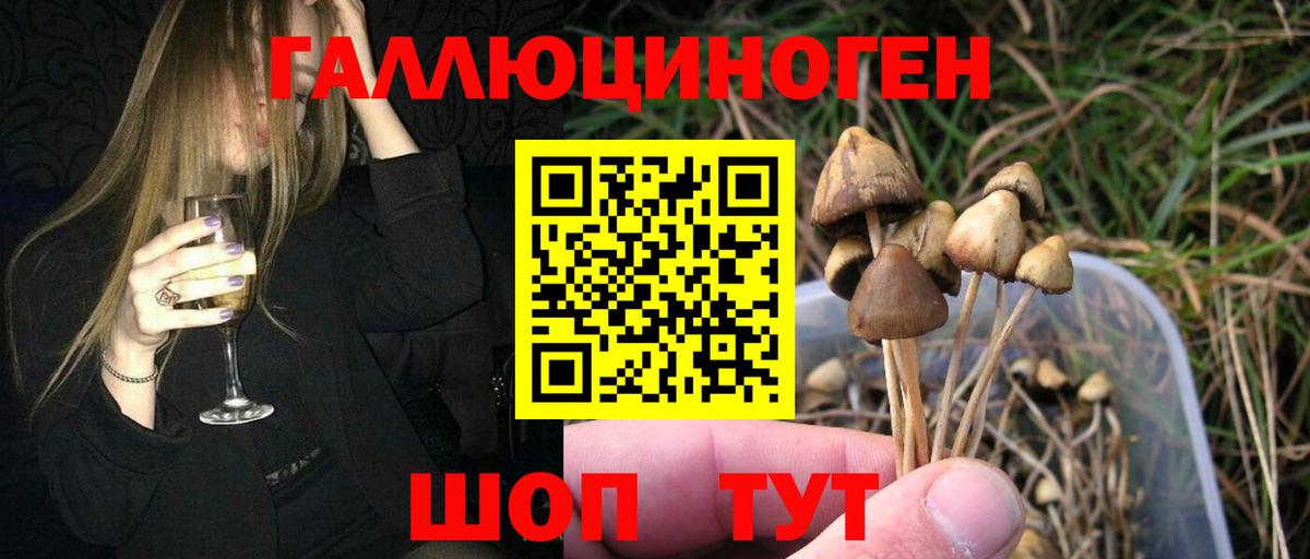 Псилоцибиновые грибы Cubensis Якутск