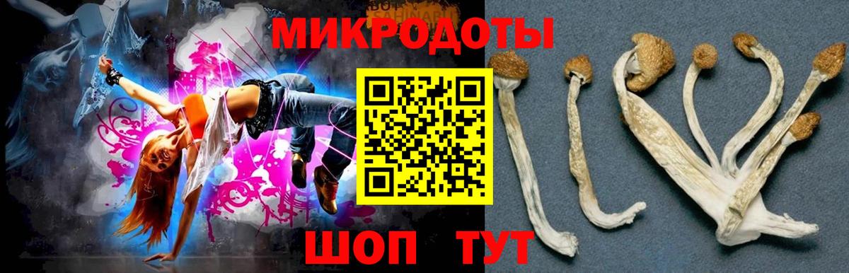 Якутск  Псилоцибиновые грибы Psilocybine cubensis  Вход с VPN 